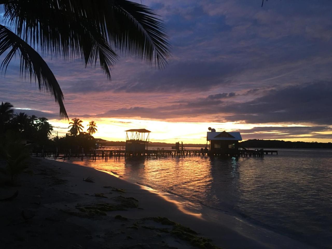 Dona Mara Gastro Hotel โบกัสทาวน์ ภายนอก รูปภาพ